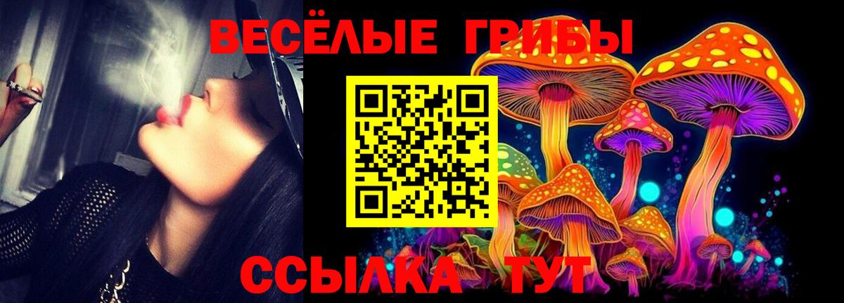 хочу наркоту  Вход с VPN  Кинешма  Псилоцибиновые грибы Psilocybine cubensis 