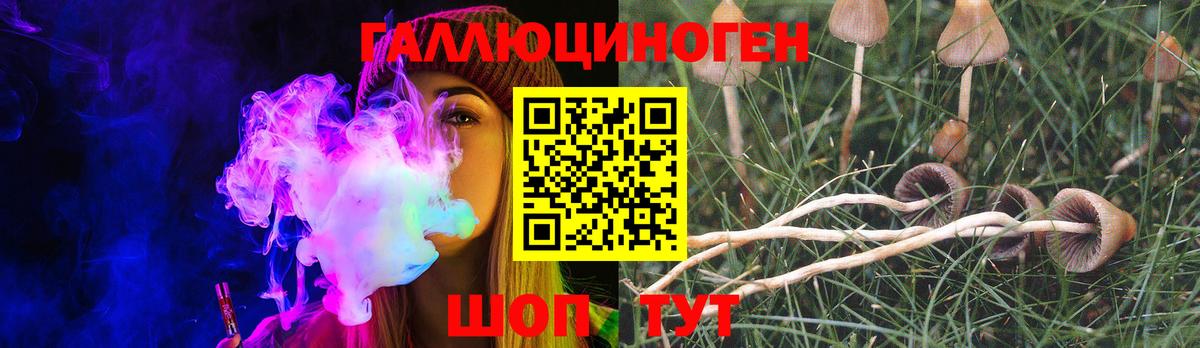 Псилоцибиновые грибы Cubensis Кинешма